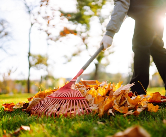 High Country Landscaping Fall Yard Clean Up