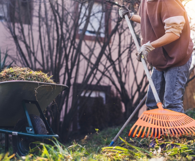 High Country Landscaping Spring Yard Clean Up