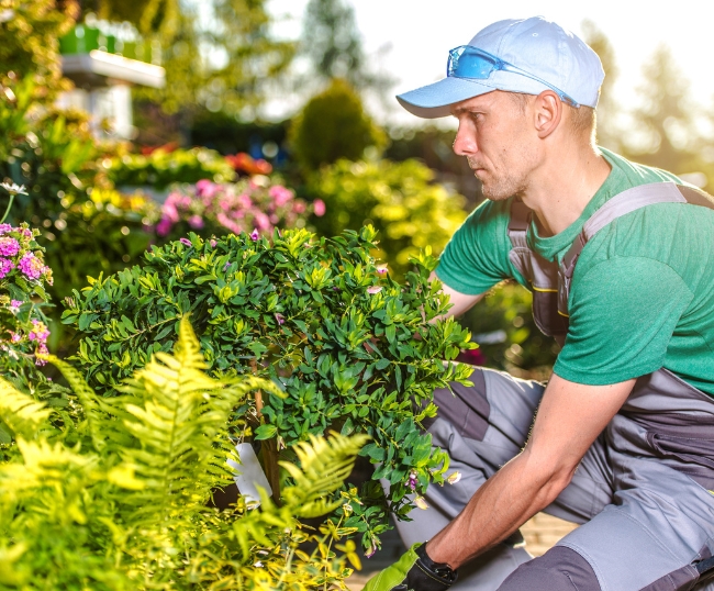 High Country Landscaping Weekly Garden Maintenance Service